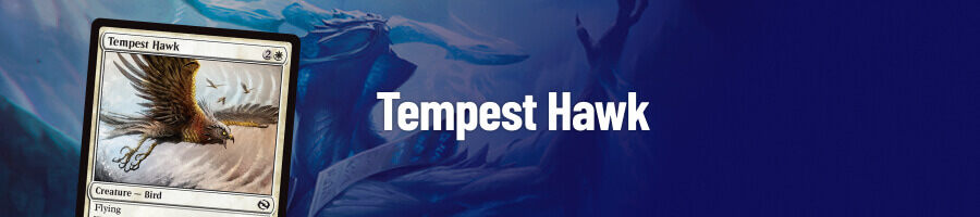 Tempest Hawk