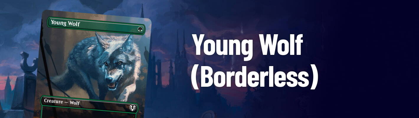 Young Wolf (Borderless)