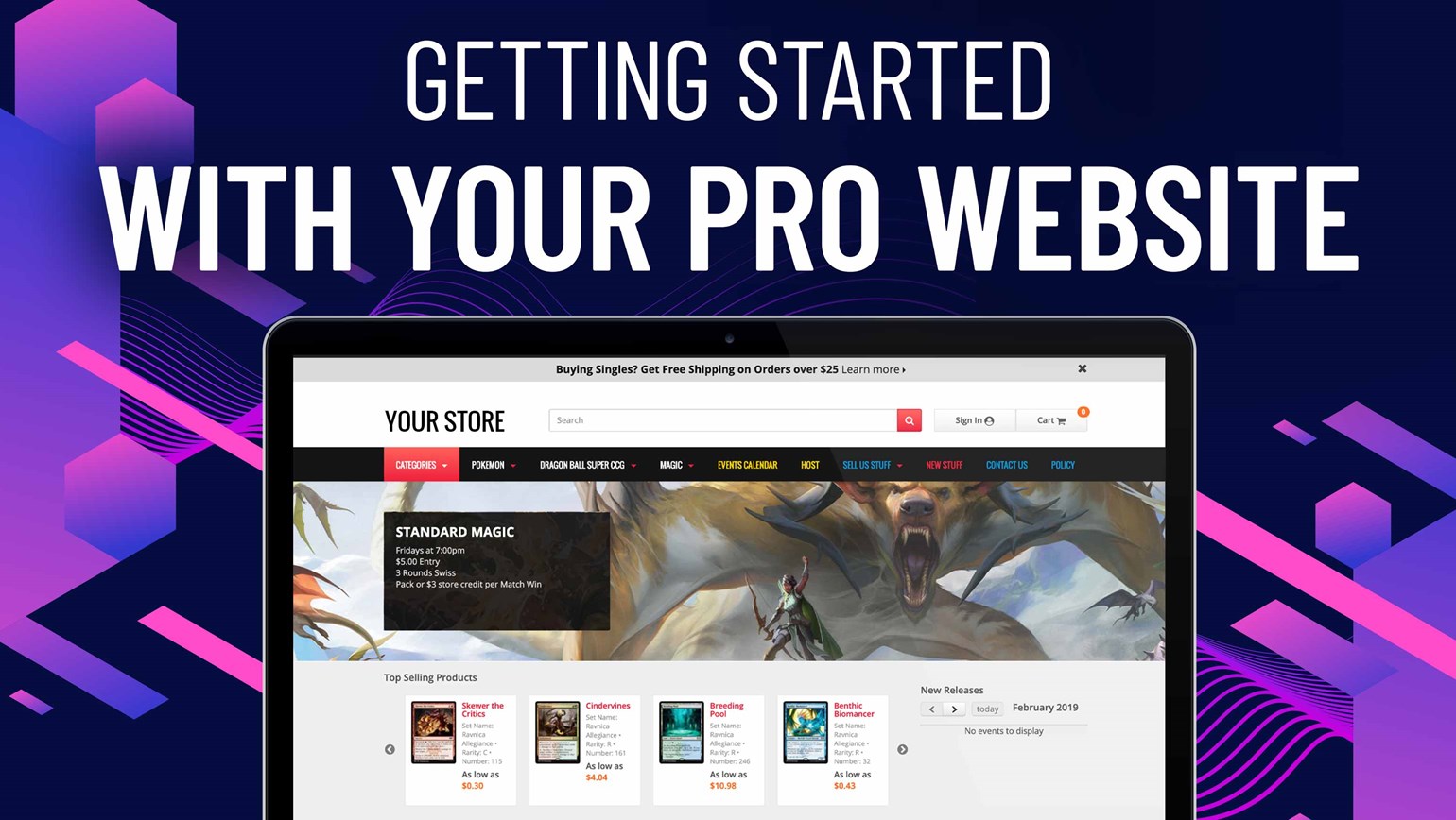 Getting Started with Your Pro Website
